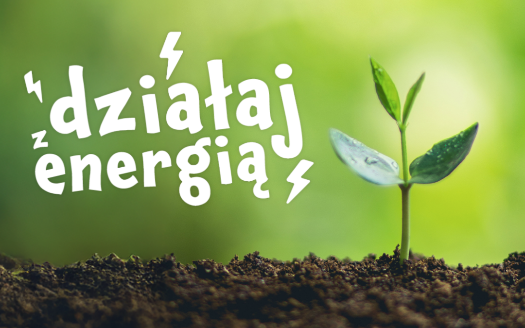 Zielony Dom Kultury – Działaj z energią